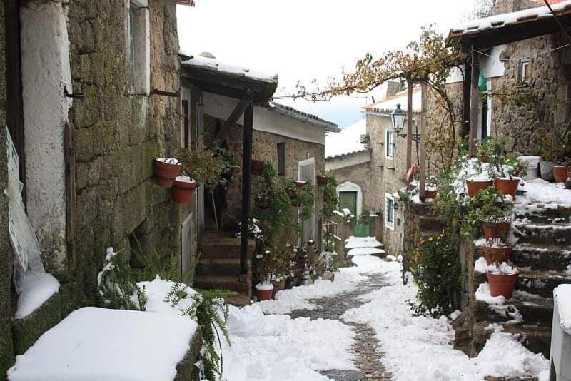 몬산토 Casa Do Miradouro 빌라 외부 사진