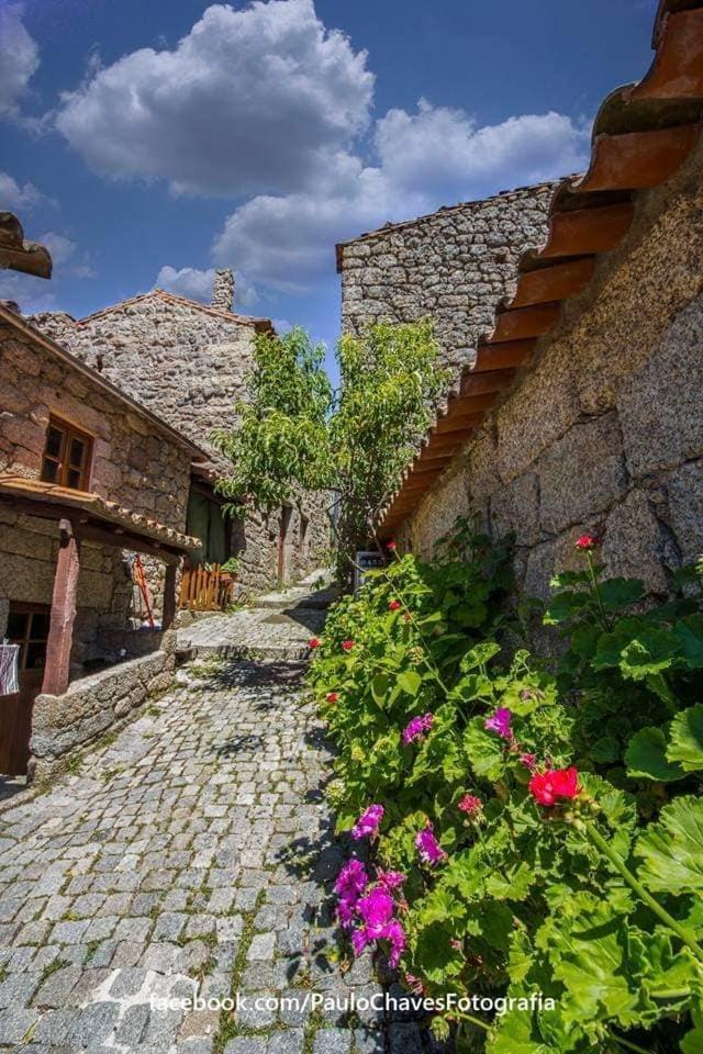 몬산토 Casa Do Miradouro 빌라 외부 사진